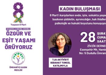 Hevdîtina jinan a DEM Partiyê hate betalkirin