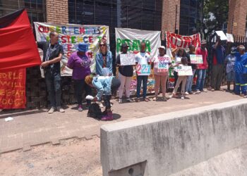 Li Efrîkaya Başûr 32 rêxistin bi çalakiyek piştgirî dan Rojava