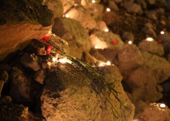 Amed de serrgêra erdlerzî: Ma xo vîrîra nêkerd