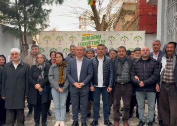 Li Cizîrê banga meşa 15ê Sibatê