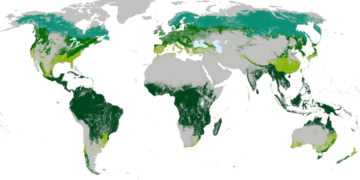 Îsal li cîhanê 461 hezar hektar daristan ji holê rabû