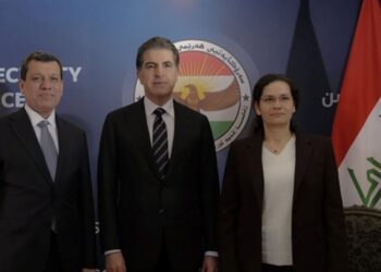 Mazlûm Ebdî: Me di konferansê de parastina destkeftiyan anî rojevê