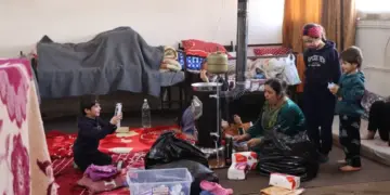 Koçberên Efrînê daxwaza vegera axa xwe dikin