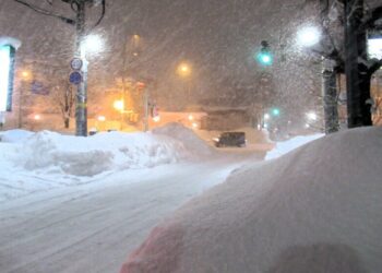 Li Japonyayê ji ber berfa zêde 46 kes mirin, 558 kes birîndar bûn