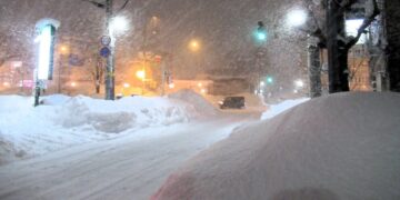 Li Japonyayê ji ber berfa zêde 46 kes mirin, 558 kes birîndar bûn