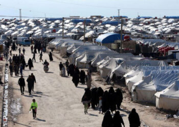 Kampa Holê hate girtin