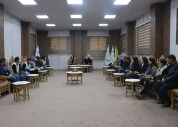 Saziyên Neteweyên Yekbûyî li Kobanê hevdîtin kirin