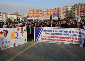 Keskîn Bayindir: Heta statuya Rojava mîsoger nebe em ê li ser pêyan bin