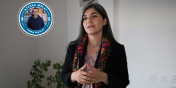Neslîhan Şedal: Armanca êrişan têkbirina paradîgmaya neteweya demokratîk bû