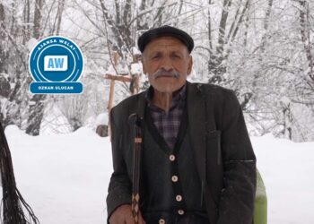 Minzûr Zengîn: Zon zerê sanikan de aseno