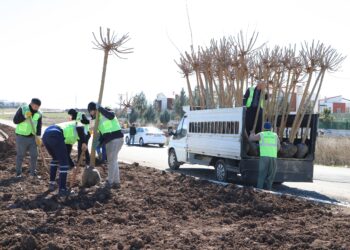 Warê ekolojî de rewşa şaredarîyanê DEM Partî