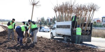 Warê ekolojî de rewşa şaredarîyanê DEM Partî