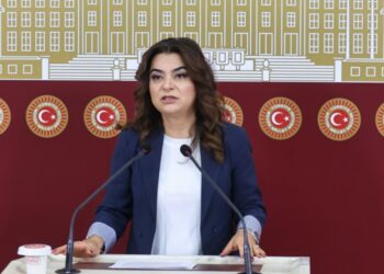 DEM Partî vengdayîşê ‘serûberkerdişê qanûnî yê şênber û girêdayoxî’ kerd