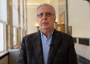 Temsîlkarê BM’yî yê MRAP’î: Ganî Ocalan rasterast beşdarê prosesî bibo