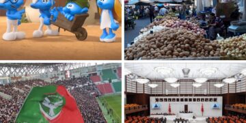 Ez nêwazena ziwanê mi vîndî bibo: Pêşnîyaz, stratejî û planê çalakîye