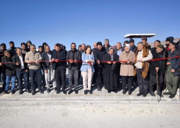 Şaredarîya Hêneyî bazarê hewanan akerd