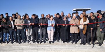 Şaredarîya Hanê bazarê hewanan akerd