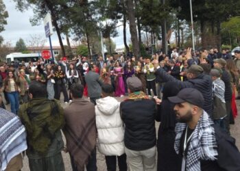 Edene, Mêrsîn, Riha û Dîlok de şayîya Newroze dest pêkerd