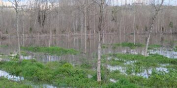 Li Amedê ji ber vekirina deriyên bendavê gelek cih di bin avê de man