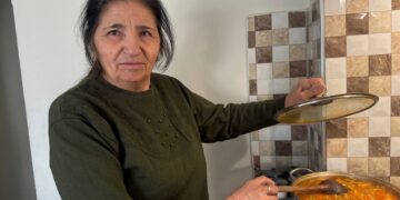 ‘Verênde heşîrîya cinîkû zaf bî, nika raya xo zanenê’