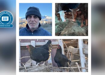 ‘Dewa ma şên bîye, nika zerê sûke de bêkes mendîme’