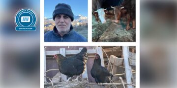 ‘Dewa ma şên bîye, nika zerê sûke de bêkes mendîme’