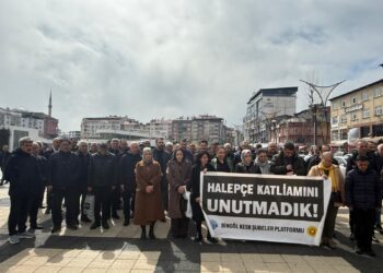 ÎHD: Sûcê jenosîdî sûcêk o ke vera merdimîye ameyo kerdene