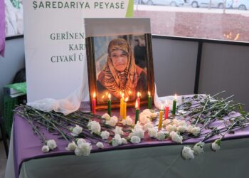 Ji bo Dayika Aştiyê Sakîne Arat mewlûd hate dayîn