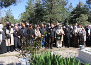 Amed de cangorîyê azadî ameyê vîrardene
