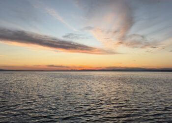 Bendawa ke serra parîne ziwa bîbî emser pirr bîya