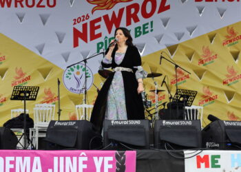 Pervîn Bûldan: Dema mijûlbûnê nîn e gavên pratîk biavêjin