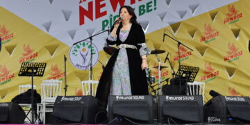 Pervîn Bûldan: Dema mijûlbûnê nîn e gavên pratîk biavêjin