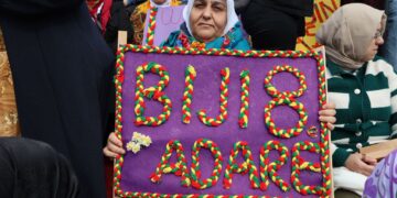 Dayika Aştiyê Rewşan Doner qezaya trafîkê derbas kir