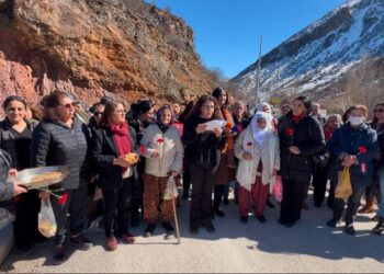 Dêrsimde seba 8ê Adare çilayî ameyî tafîştene