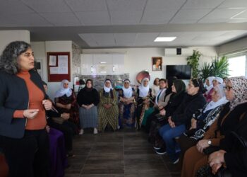 Li Dîdîmê coşa 8ê Adarê: Em bi berxwedanê jiyaneke azad dihûnin