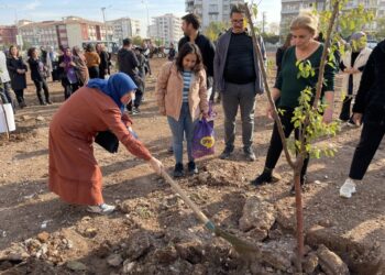Di warê ekolojiyê de rewşa 62 şaredariyên DEM Partiyê