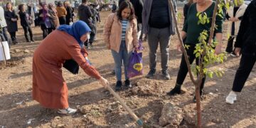 Di warê ekolojiyê de rewşa 62 şaredariyên DEM Partiyê