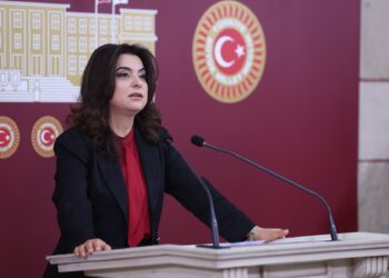 Gulistan Kiliç Koçyîgît: Divê qanûnên azadî û demokrasiye demildest bên amadekirin