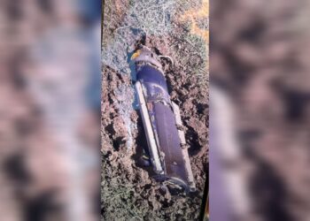 Moşekek Îranê li gundekî Amedê ket