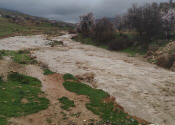 Li Mêrdînê lehî rabû, gelek cih di bin avê de man