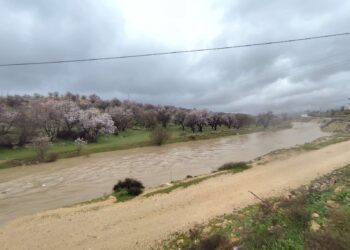Mêrdîn de laser werişt, xeylê cayî binê awe de mendî