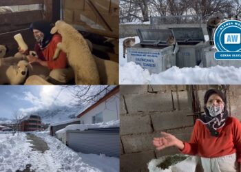 ‘Heşîrîya ma kêy xeleşîna heq zaneno’