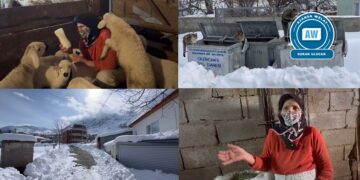 ‘Heşîrîya ma kêy xeleşîna heq zaneno’