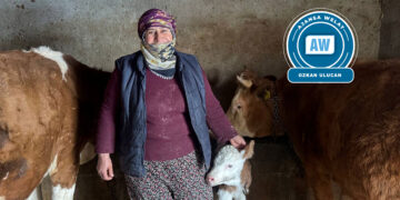 ‘Ma cinîkî, rindîye û delalîye, rindekîye vazenîme’