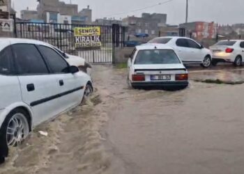 Li Rihayê lêhî rabû: Mal û kargeh di bin avê de man