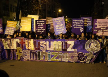 Meşa Şevê ya Feminîst: Berxwedan û astengî