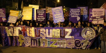 Meşa Şevê ya Feminîst: Berxwedan û astengî