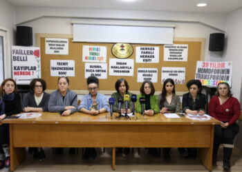 Keyeyê Dîlan Karaman eşkerayî da: Rapor de çîyê kemî est ê