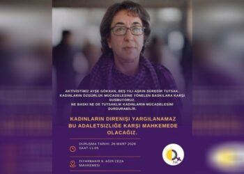 TJA ra semedê roniştişê dewaya Ayşe Gokkan vengdayîş