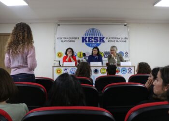 Li Wanê panela aştiyê: Tişta herî girîng windanekirina têkoşînê ye